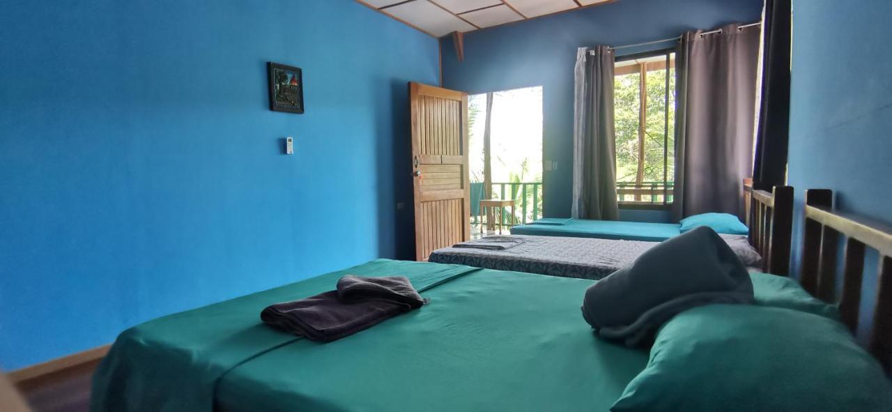 Allegra Hostel Дрейк Екстер'єр фото